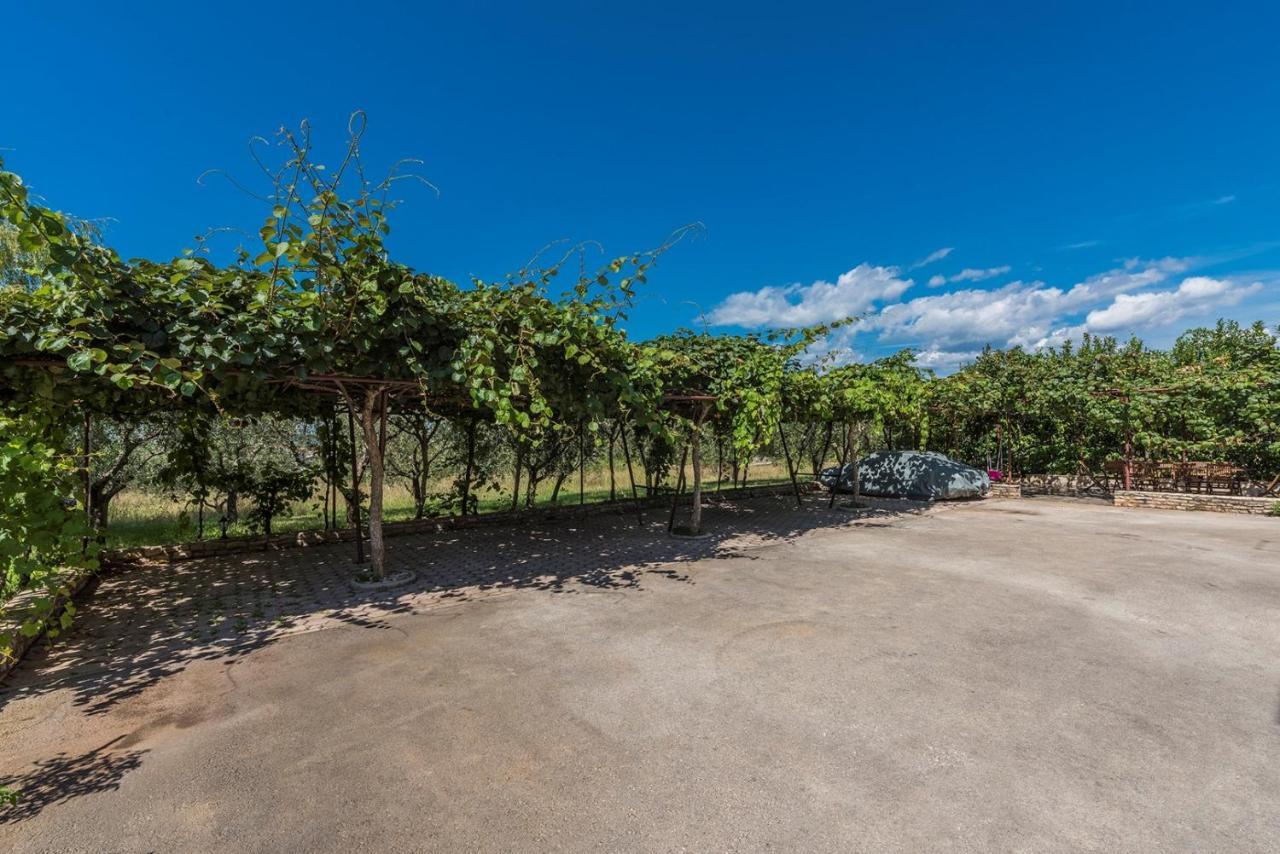 Apartment Complex Vetrina-Shared Pool Nova Vas  Zewnętrze zdjęcie